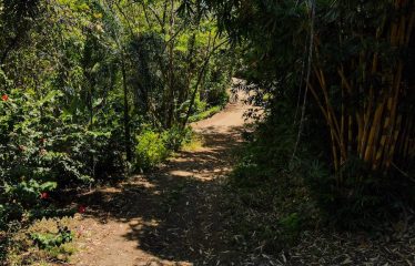 BEAUTIFUL HOUSE AND GUEST HOUSE IN TRES RIOS