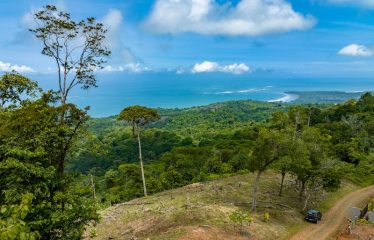 Development Land with Stunning Whale Tail Views – 16 Acres