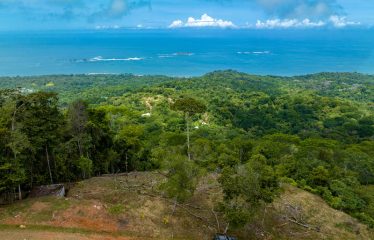 Development Land with Stunning Whale Tail Views – 16 Acres