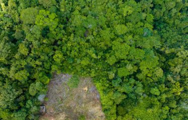 Development Land with Stunning Whale Tail Views – 16 Acres