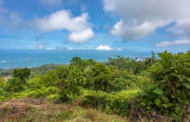 Development Land with Stunning Whale Tail Views – 16 Acres