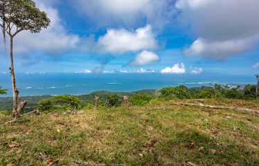 Development Land with Stunning Whale Tail Views – 16 Acres