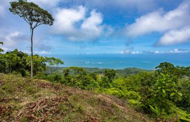 Development Land with Stunning Whale Tail Views – 16 Acres