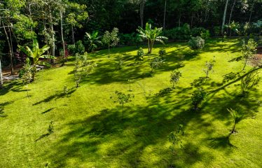 AMAZING Luxury Retreat – Main Home and 2 Guest Villas