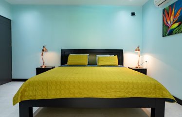 AMAZING Luxury Retreat – Main Home and 2 Guest Villas