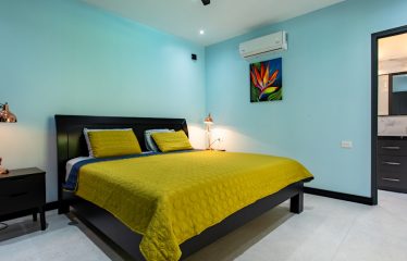 AMAZING Luxury Retreat – Main Home and 2 Guest Villas