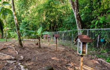 AMAZING Luxury Retreat – Main Home and 2 Guest Villas