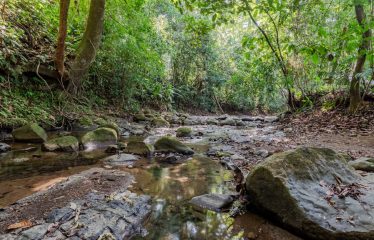 AMAZING Luxury Retreat – Main Home and 2 Guest Villas