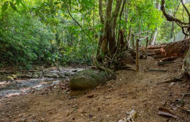 AMAZING Luxury Retreat – Main Home and 2 Guest Villas