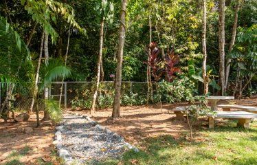 AMAZING Luxury Retreat – Main Home and 2 Guest Villas