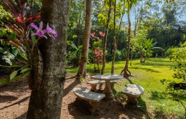 AMAZING Luxury Retreat – Main Home and 2 Guest Villas