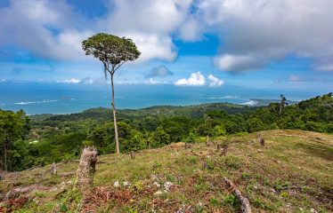 Development Land with Stunning Whale Tail Views – 16 Acres