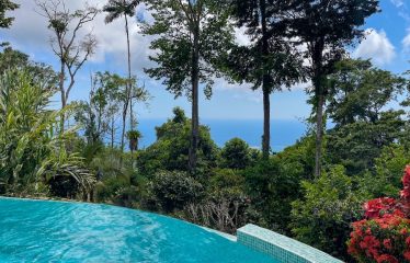 3 BEDROOM HOME WITH VIEWS TO THE WHALE TAIL – 1.25 ACRES