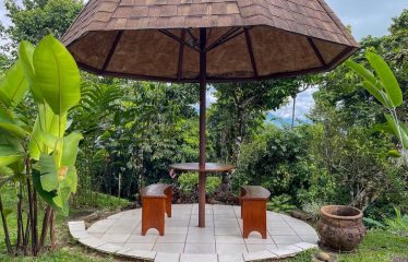 3 BEDROOM HOME WITH VIEWS TO THE WHALE TAIL – 1.25 ACRES