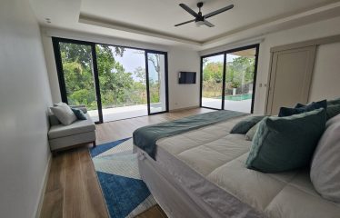 Ocean View 4 Bedroom Home Minutes to Uvita