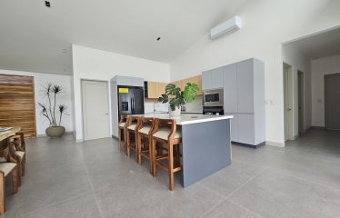 Ocean View 4 Bedroom Home Minutes to Uvita