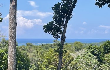 Ocean View 4 Bedroom Home Minutes to Uvita