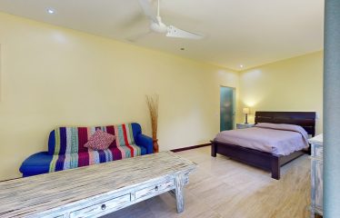 Beautiful Villa with Separate Studio Apartment