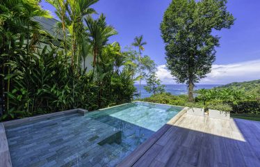 Luxury Ocean View Villa in Gated Community