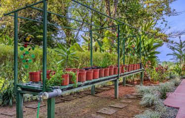 MEDITERRANEAN HOME WITH SPLENDID OCEAN AND JUNGLE VIEW – 2 ACRES