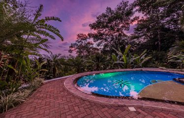 MEDITERRANEAN HOME WITH SPLENDID OCEAN AND JUNGLE VIEW – 2 ACRES