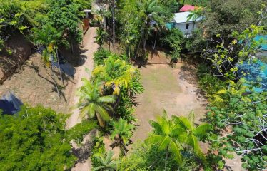 5 BEDROOM PROPERTY WITH HUGE COMMERCIAL POTENCIAL