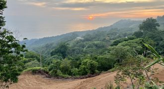 Whale Tail and Ocean View Lot in Gated  Community – 2.5 Acres