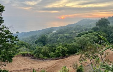 Whale Tail and Ocean View Lot in Gated Community – 2.5 Acres