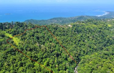 JUNGLE DREAMS FARM: WHERE NATURE MEETS SERENITY – 20 ACRES