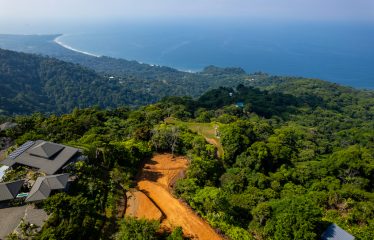 Whale Tail and Ocean View Lot in Gated Community – 2.5 Acres