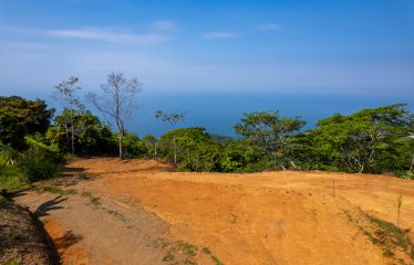 Whale Tail and Ocean View Lot in Gated Community – 2.5 Acres