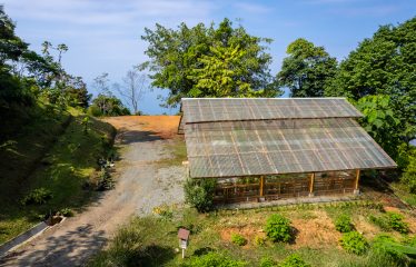 Whale Tail and Ocean View Lot in Gated Community – 2.5 Acres