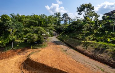 Whale Tail and Ocean View Lot in Gated Community – 2.5 Acres