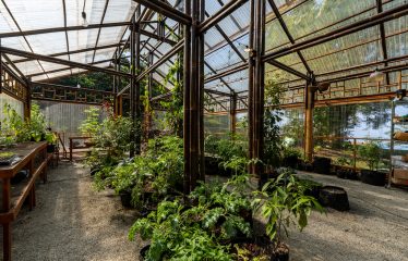 Whale Tail and Ocean View Lot in Gated Community – 2.5 Acres