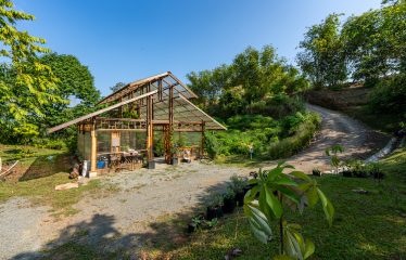 Whale Tail and Ocean View Lot in Gated Community – 2.5 Acres