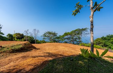 Whale Tail and Ocean View Lot in Gated Community – 2.5 Acres