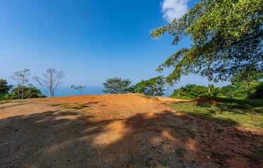Whale Tail and Ocean View Lot in Gated Community – 2.5 Acres