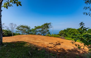 Whale Tail and Ocean View Lot in Gated Community – 2.5 Acres