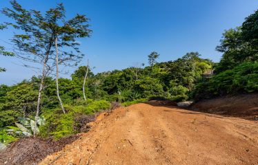 Whale Tail and Ocean View Lot in Gated Community – 2.5 Acres