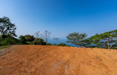 Whale Tail and Ocean View Lot in Gated Community – 2.5 Acres