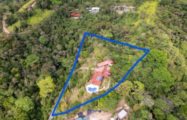 6 BEDROOM HOME WITH OCEAN VIEW AND PRIVACY – 3.52 ACRES