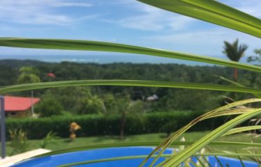 Beautiful Villa with Separate Studio Apartment