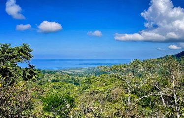 4 BEDROOM OCEAN VIEW HOME WITH GUEST CASITA – 2.4 ACRES
