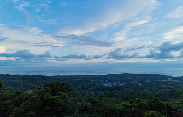 PRIVATE VILLA WITH WHALE TAIL OCEAN VIEW CLOSE TO DOWNTOWN UVITA