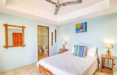 4 BEDROOM OCEAN VIEW HOME WITH GUEST CASITA – 2.4 ACRES