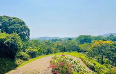 OCEAN VIEW 2 BEDROOM HOUSE WITH  POOL – 1.89 ACRES