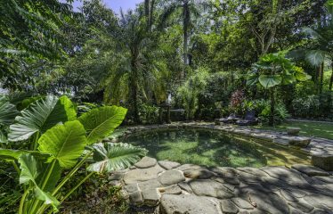 BEACHFRONT ECO LODGE RETREAT IN OSA PENINSULA