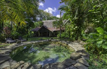 BEACHFRONT ECO LODGE RETREAT IN OSA PENINSULA