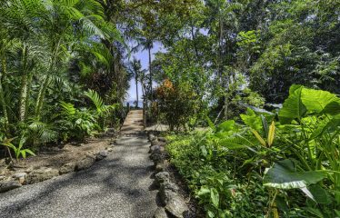 BEACHFRONT ECO LODGE RETREAT IN OSA PENINSULA