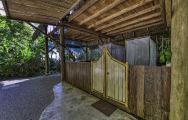 BEACHFRONT ECO LODGE RETREAT IN OSA PENINSULA